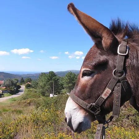 Serra De Arga Mountain House *