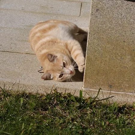 Feriehus Serra De Arga Mountain House *