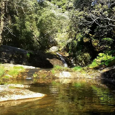 Serra De Arga Mountain House * Montaria