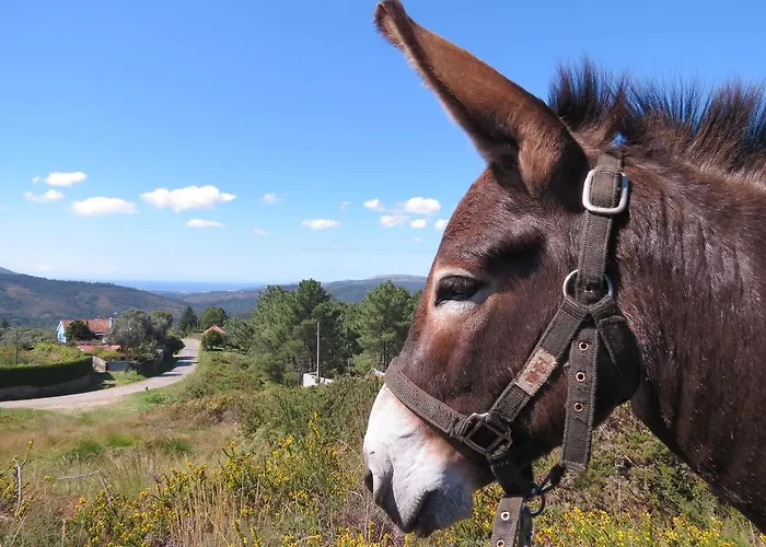 Serra De Arga Mountain House *