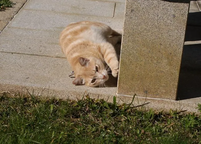 Дом отдыха Serra De Arga Mountain House *